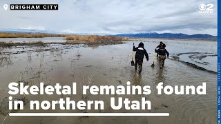Human skeletal remains found in remote wetland area of northern Utah