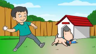 Happy House Sitters - Why get a House & Pet SItter?