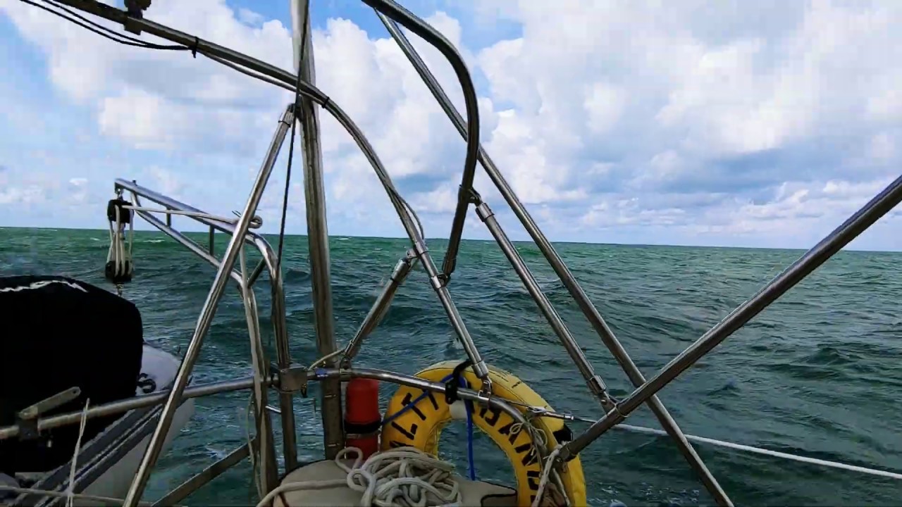 Salty Quicky #239 - Sailing and Surfing on a Sailboat