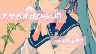 アサガオがひらく頃/初音ミク