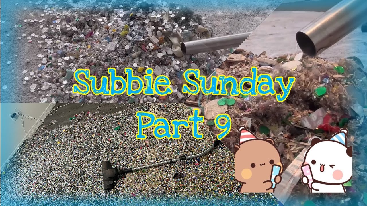 Subbie Sunday Part 9 | Henry Mess test 3 shark clean ups  | @danikvacs2983 and @autumnsASMRVAC