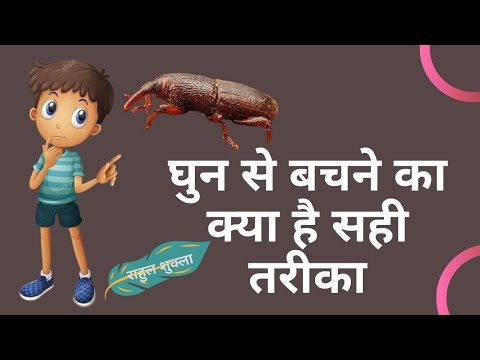 वीडियो: हेल मैरी की प्रार्थना कैसे करें: 11 कदम (चित्रों के साथ)