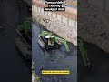 Mission yamuna/delhi clean up 2026:Janak puri drain cleaning work by govt