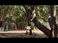 Harare Gardens under threat, City Council leasing portions to private players