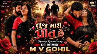 તુજ મારી પ્રીત છે Tuj Mari Preet Chhe mashup Romantic song DJ REMIX M V GOHIL 2026 new  HD Mp3 