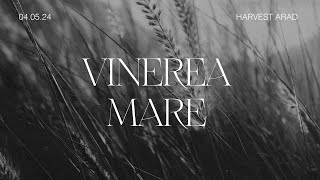 VINEREA MARE | Marcel Opriș | Harvest Arad