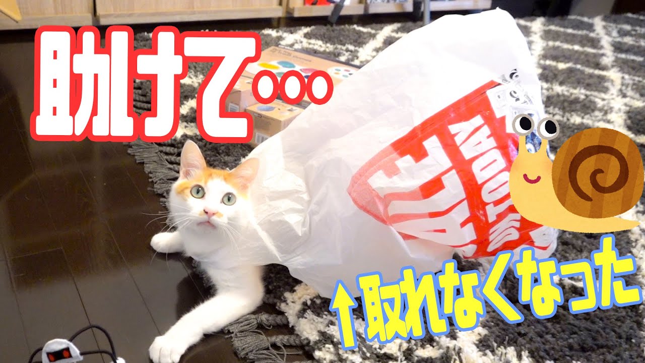 あつし Channel The Youtuber