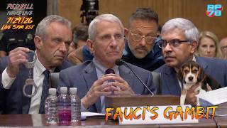 It’s a Bold Strategy Cotton - Fauci Pleads The 5th