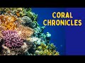 Ocean Plants & Marine Life 🌊 | Kids Science Video