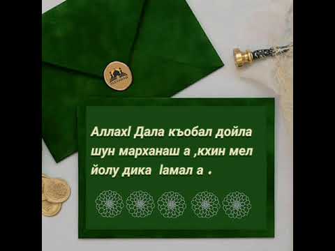 Мархин бутт чекх