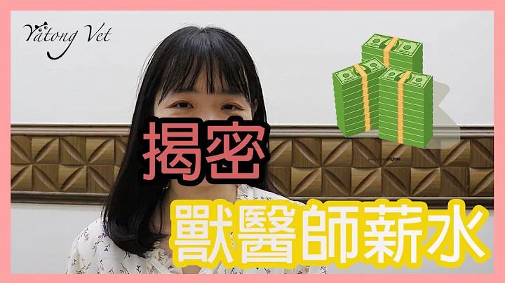 揭密獸醫師薪水！畢業後3年領10萬以上的方法｜牙痛獸醫 - 天天要聞
