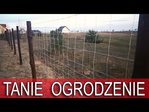 Wideo: Trwałe I Tymczasowe