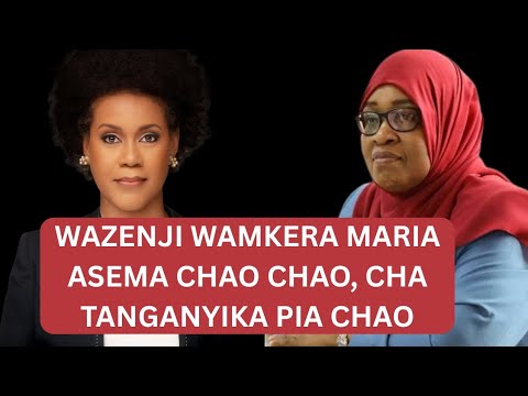 The Issue Of Zanzibari People Registering Their Diaspora Colleagues Has Angered Maria Sarungi Sh 