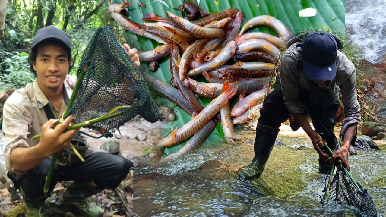 Stream Fishing || Cook & Eat In the deep forest.