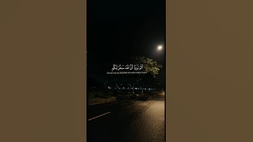 ألم تر أن الله سخر لكم ما في السماوات وما في الأرض#سورة_لقمان #ياسر_الدوسري #قرآن #تلاوة #صوت_الخشوع
