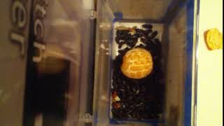 IMG 4472 1