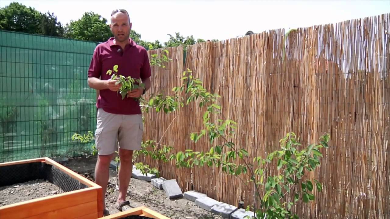 HDZ 09 2015 Úžitkovo- oddychová záhrada