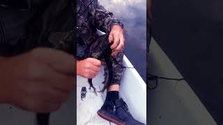 2 к 1. Один воблер 2 рыбы.первый раз такое #fishing#pike#рыбалка