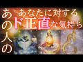 あの人のあなたに対するド正直な気持ち 【 恋愛 タロット オラクル カード 占い 