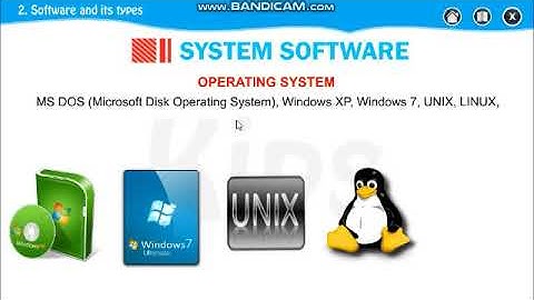 Std V Lesson 2 Software and Its Types #software