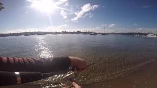 Quick Sydney Landbased Flathead