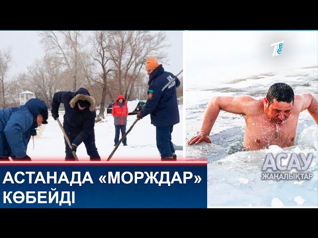 АСТАНАДА «МОРЖДАР» КӨБЕЙДІ
