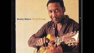 Muddy Waters - Mannish Boy