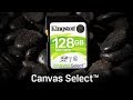 UHS-I Speed Class 1 SD カード - Canvas Select - Kingston Technology