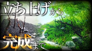 【ｱｸｱﾘｳﾑ】立ち上げから完成まで【森水槽】