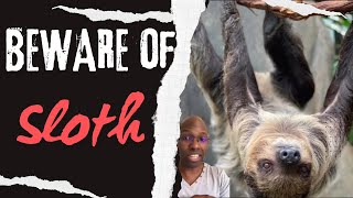 Sloths Are More Dangerous Than You Think