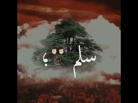 حآلآت وآتس آب حب غطي آلشمس بفي جبينگ