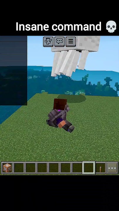 Minecraft insane command 🏻💀 🏻#shorts #minecraft - YouTube