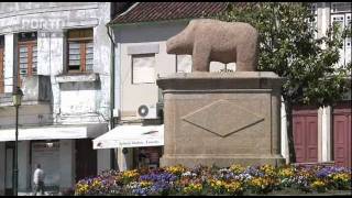 Porca ou Ursa eis a questão sobre a lenda do monumento em Murça
