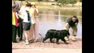funny Vidio clip { practical joke} 006 www.pdfstore.tk