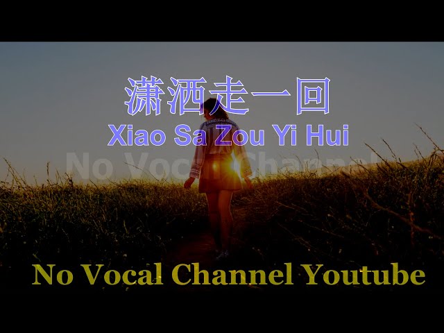 Xiao Sa Zou Yi Hui ( 潇洒走一回 ) Female Karaoke Mandarin - No Vocal class=