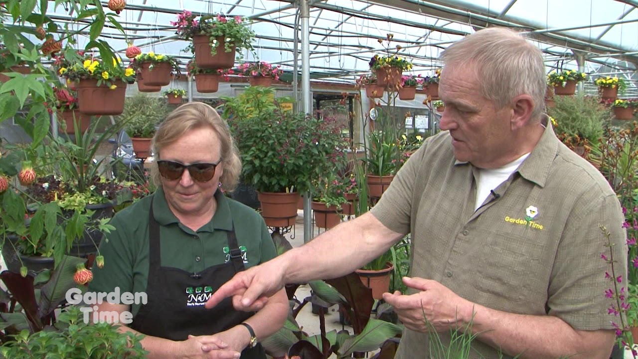 N&M Herb Nursery - GardenPalooza