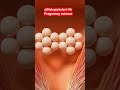 How twins are made . Pregnancy me 2 Bachhe (twins) Kaise hote hai#ytshorts