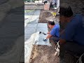 Tile Master Works | Courtyard Stone Paving &amp; Ground Renovation 🏡✨