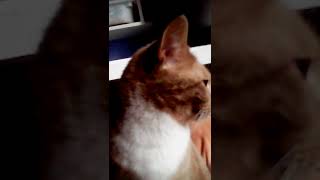 Hanging With Freddie