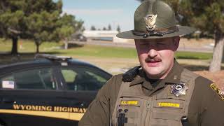 Avoiding Wildlife Crashes