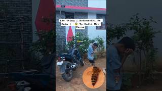 Bee Sting | Madhumakhi Ne Kata |  😨 Ye Galti Mat Karna