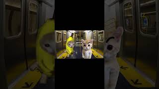 Banana Cathappy Andcry Videos 97