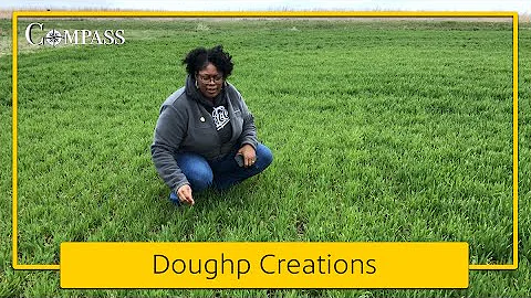 This dough is so fresh, it's Doughp Creations | Co...