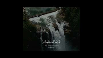 ماتيسر من سورة الأنبياء|اسلام صبحى|🌻تدبّر🌻..حالات واتس
