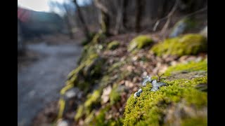 Maggia - Someo (Switzerland)