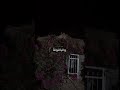 اكسبلور شعر تصويري أيتها الورده و الياقوتة و الريحانة اكسبلور شعر تصويري أيتها الورده و الياقوتة و الريحانة
