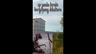 SP JANDA BIRAHI ALHAMDULILLAH BERGOYANG DIKALTARA