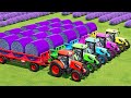 PLOW FIELD, PLANTING LAVENDER &amp; HARVESTING WITH LANDINI TRACTORS - Farming Simulator 22