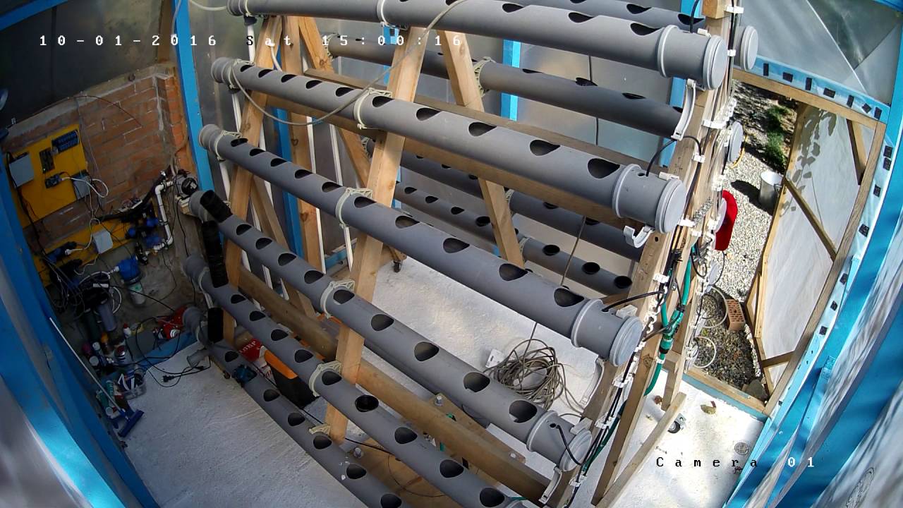 bubblestack Live Stream