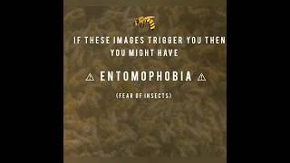 entomophobia test  *phobias pt7* #shorts#test#phobia#fear#trendingshorts#fypシ #entomophobia#viral